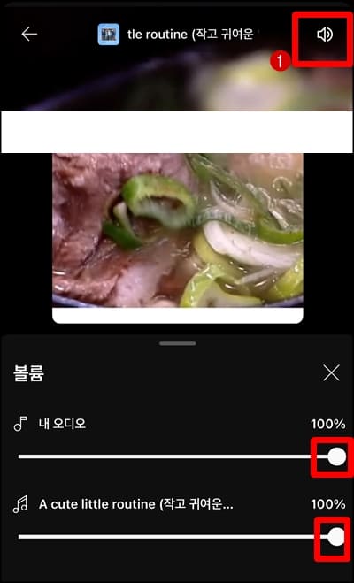 볼륨조절