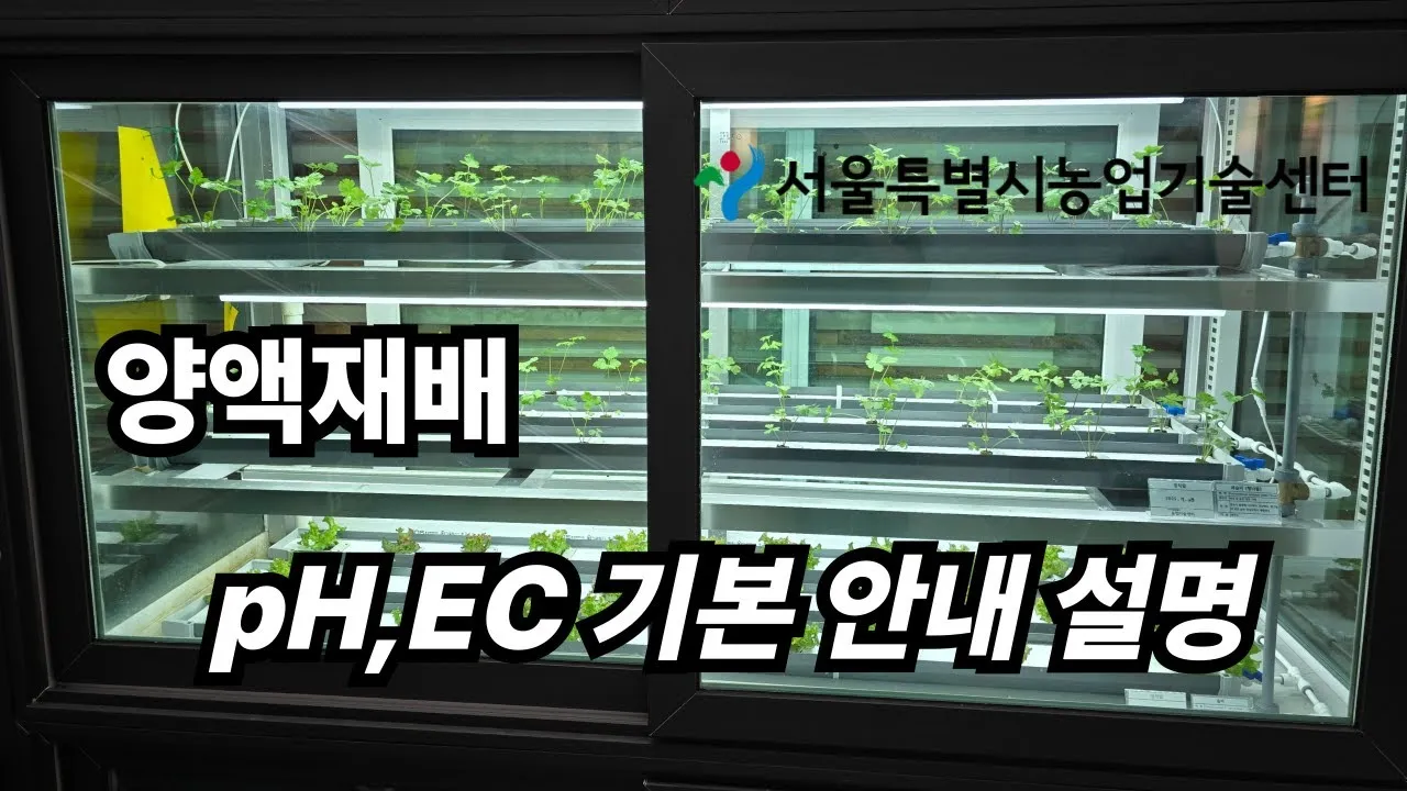 양액 재배 기초 배양액 비율 전기전도도 산도 관리_3