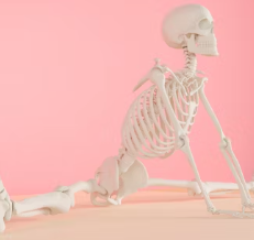 허리 디스크 치료법 진단 기준 예방법