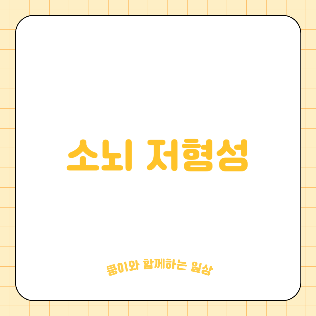 고양이 소뇌 저형성 (Cerebellar Hypoplasia)