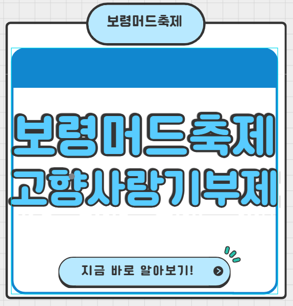 보령머드축제