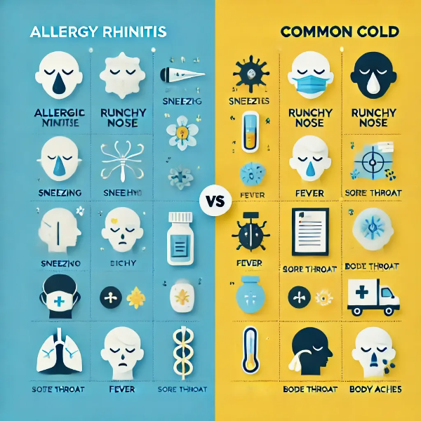 알레르기 비염과 감기를 비교한 텍스트 없는 인포그래픽 – 아이콘 중심 2단 구성