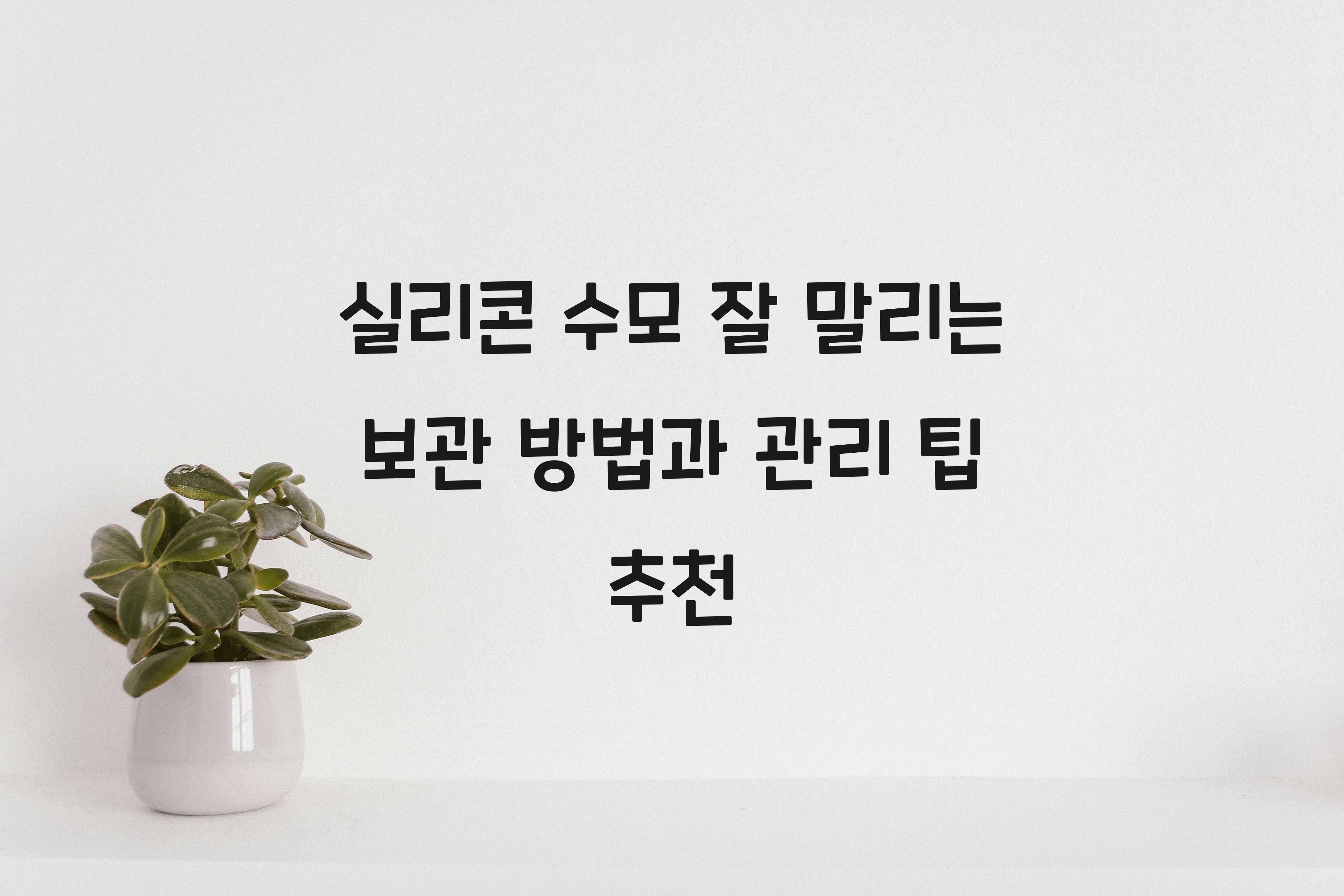 실리콘 수모 잘 말리는 보관 방법