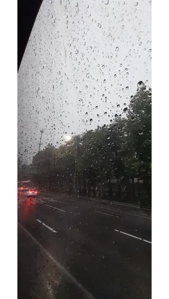 보슬비 부슬비 차이 궁금하시죠_15