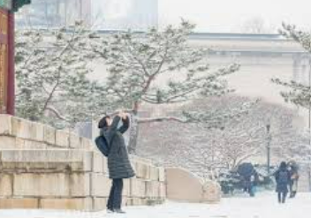 대설주의보로 궁&middot;능 관람 변경
