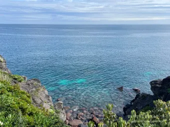 제주도 서귀포 남원 큰엉해안경승지 한반도 지형 포토존과 여행 꿀팁으로 정리_19