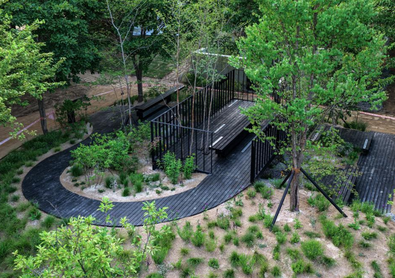 희망과 아름다움