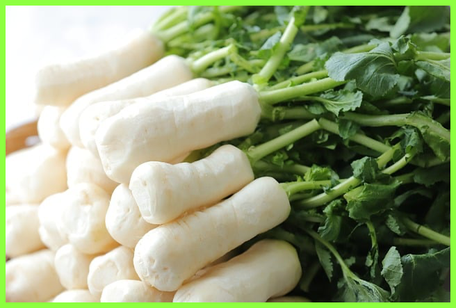 김장 재료 할인 채소 배추 마트 온라인몰 판매 최대 40%