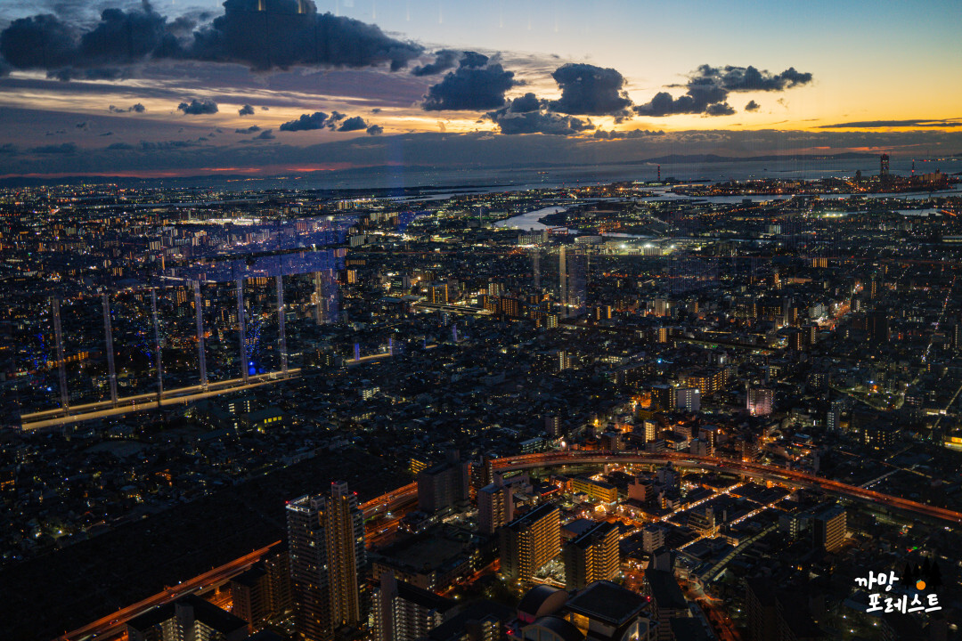 오사카 하루카스 300 야경