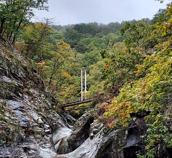 덕구온천 등산로