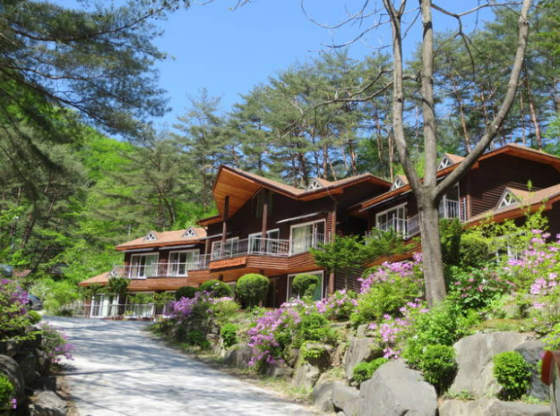 서대산 약용 자연휴양림 전경