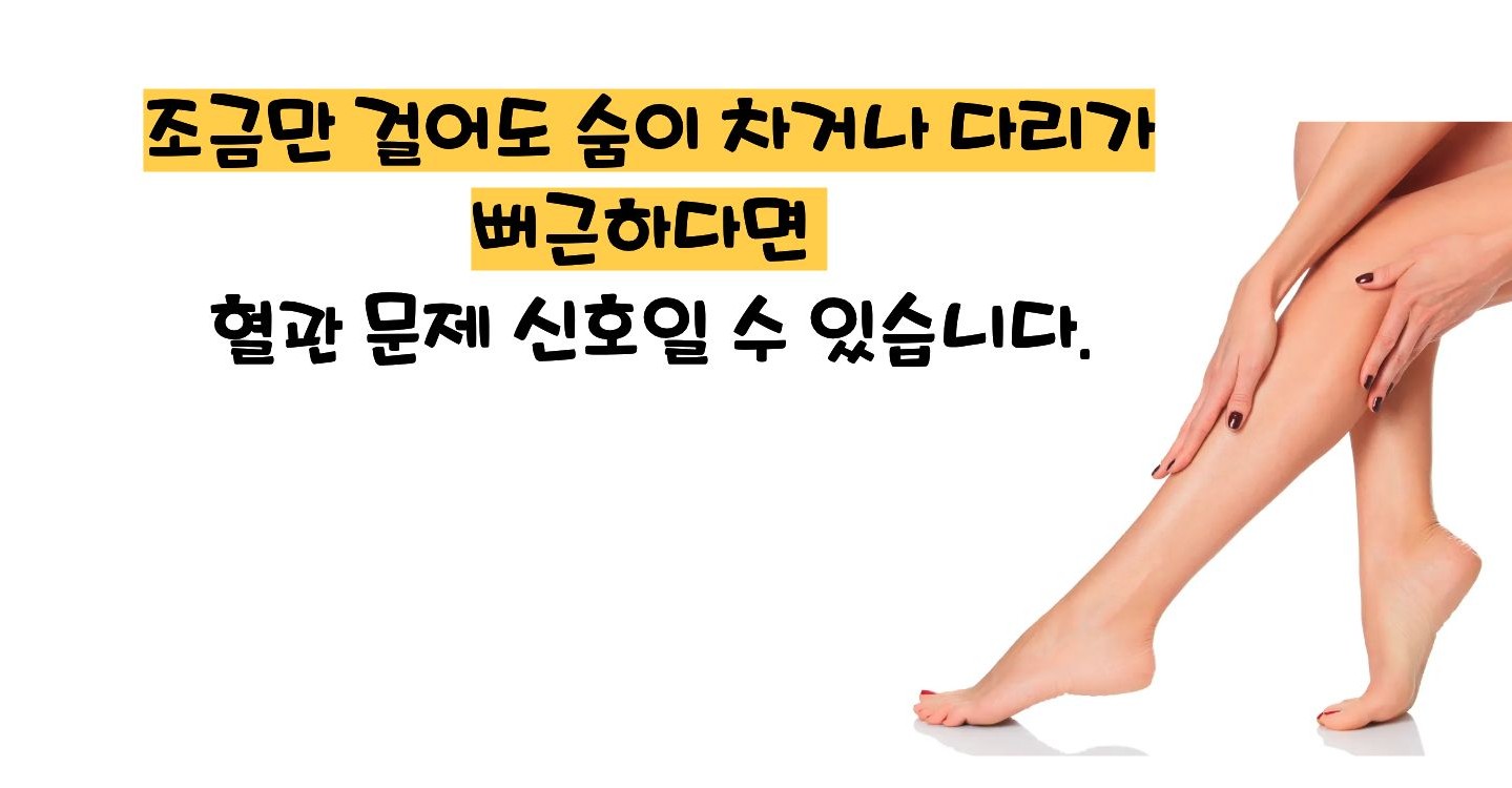 고지혈증 증상