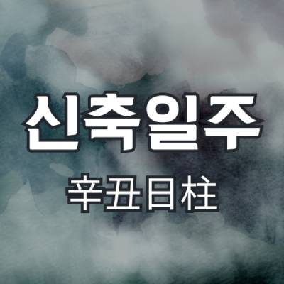 신축일주(辛丑日柱)
