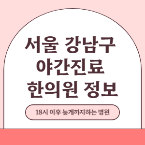 서울 강남구 야간진료 한의원 병원 (18시 이후 늦게까지하는 병원)