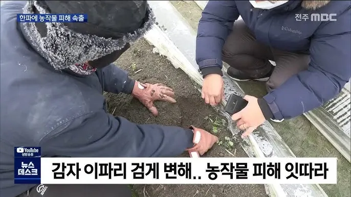 전주 한파 경보 아침 출근 길 미끄럼 주의 보행 요령_5