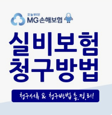 MG손보의 청산 가능성과 계약자 피해 예상
