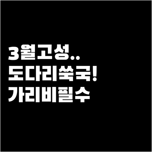 도다리쑥국과 가리비 3월 고성 여행에..