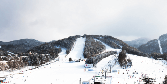 스키장 개장일정