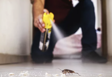 바퀴벌레 퇴치하는 사진