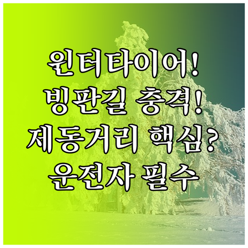 겨울철 윈터 타이어 제동 성능 분석 ..