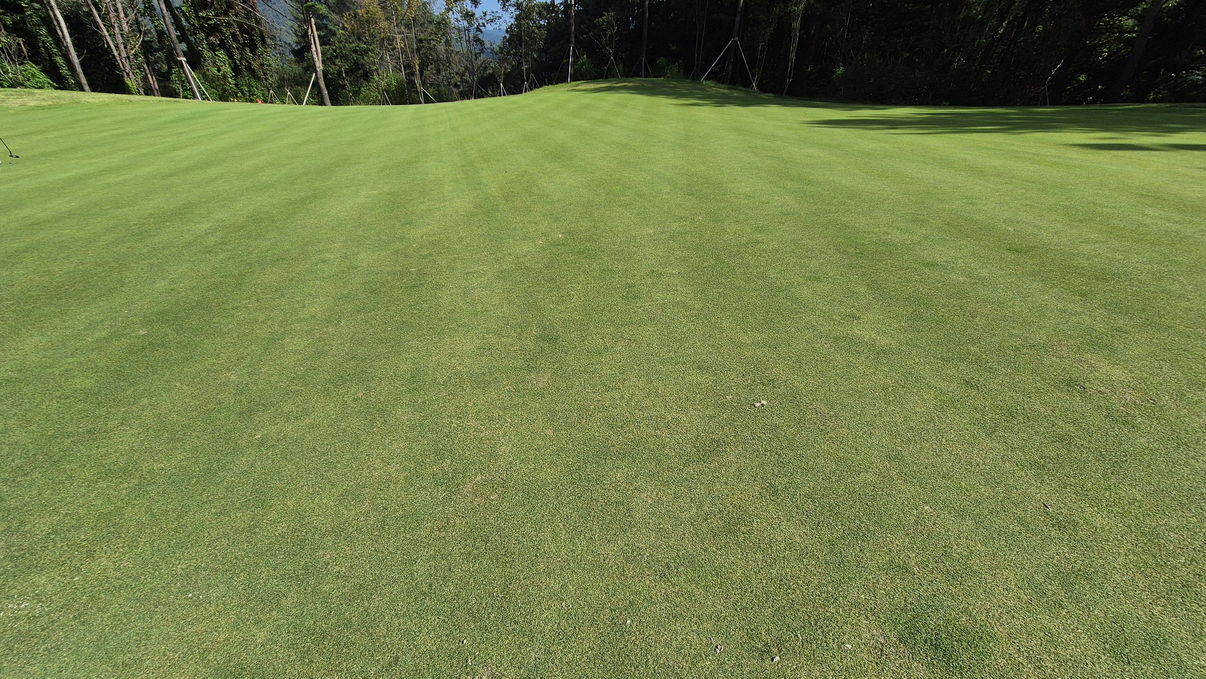 오로라cc 그린 관리 상태