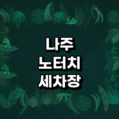 나주시 노터치 세차