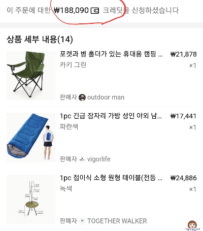 TEMU 에서 크레딧으로 구매한 캠핑 용품들
