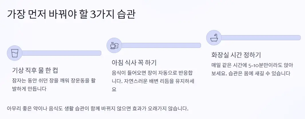 변비 해결 습관