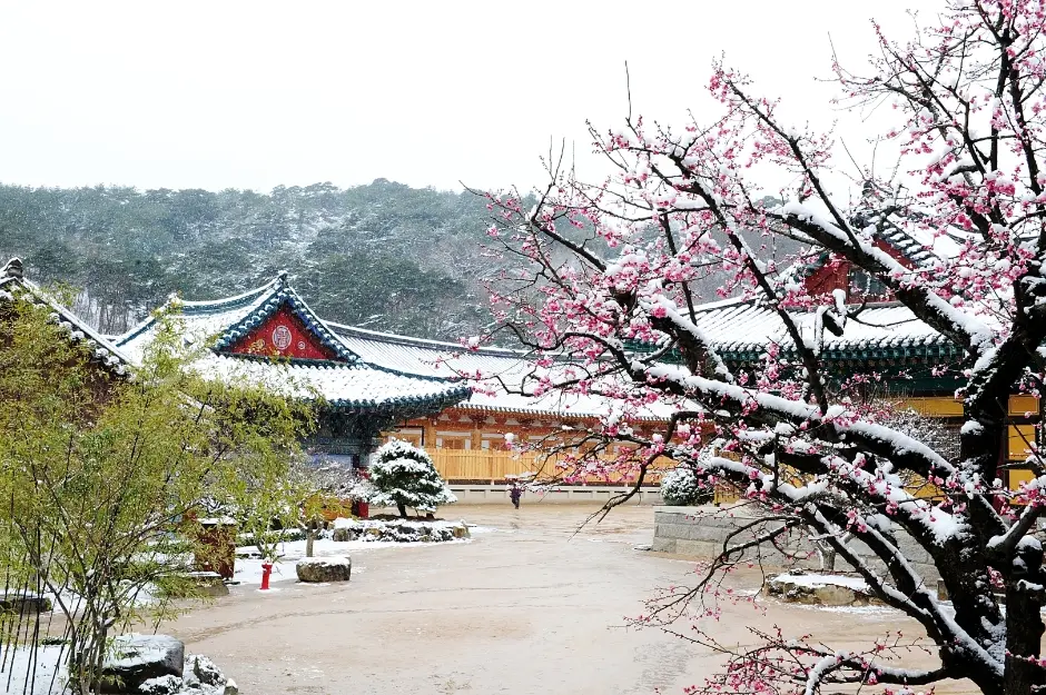 통도사