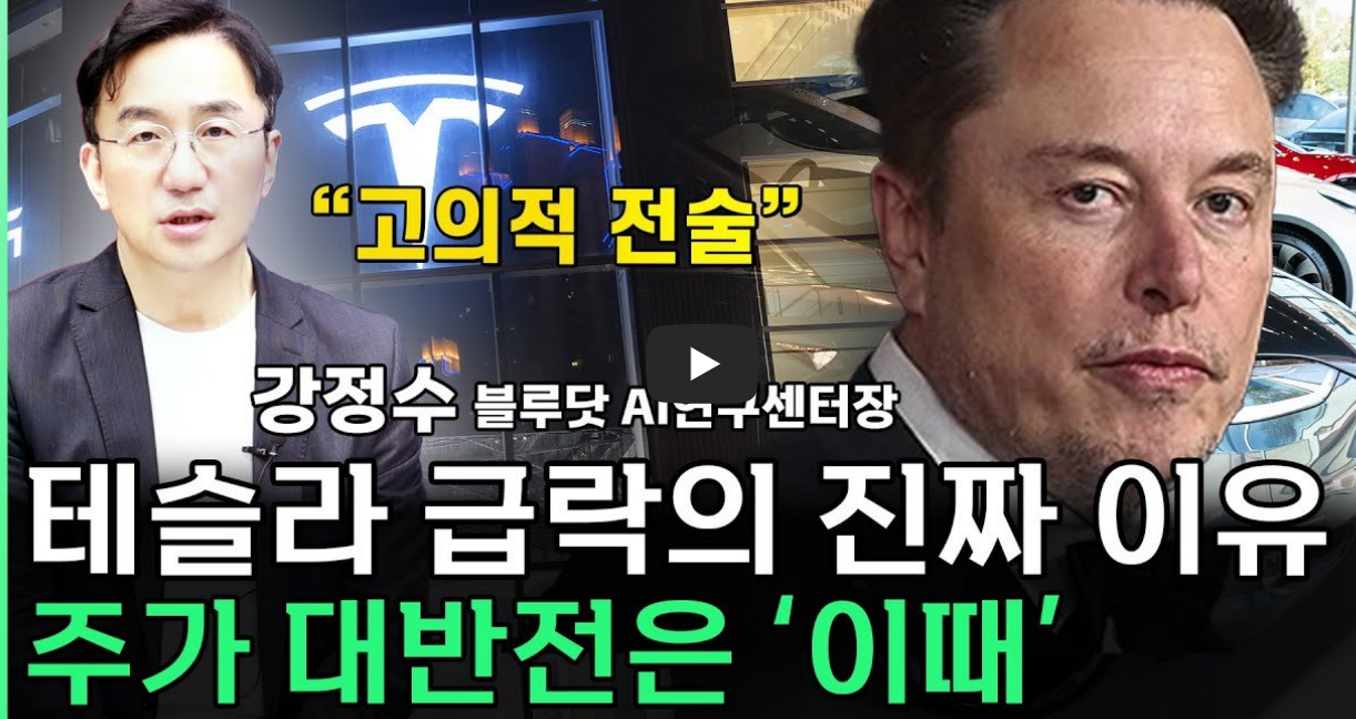 테슬라 주가전망, 주가조회: 테슬라 주가 하락 이유