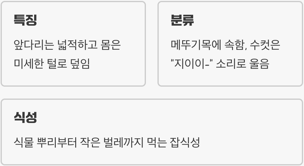 '땅속의 제왕', 땅강아지는 어떤 곤충?