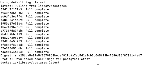 docker pull postgres 실행 결과 화면