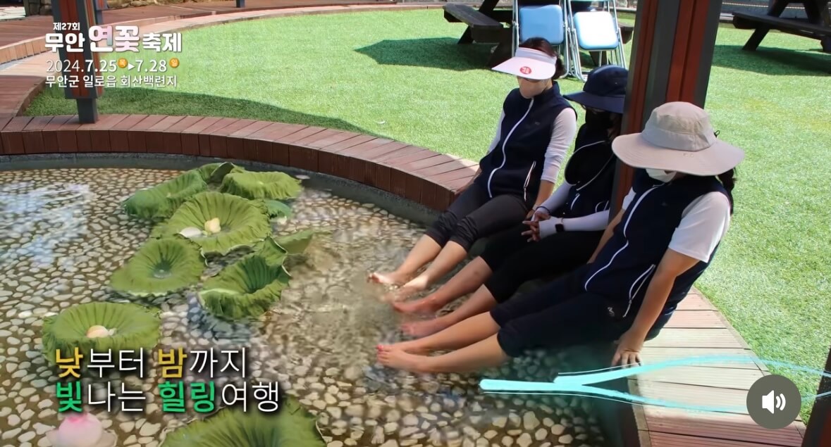 무안 연꽃축제