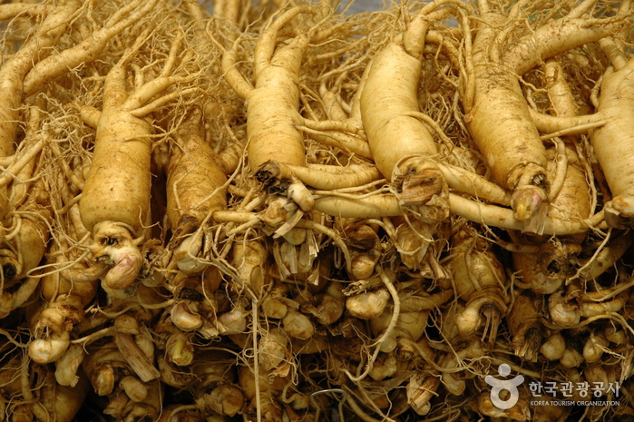 2024경북영주풍기인삼축제