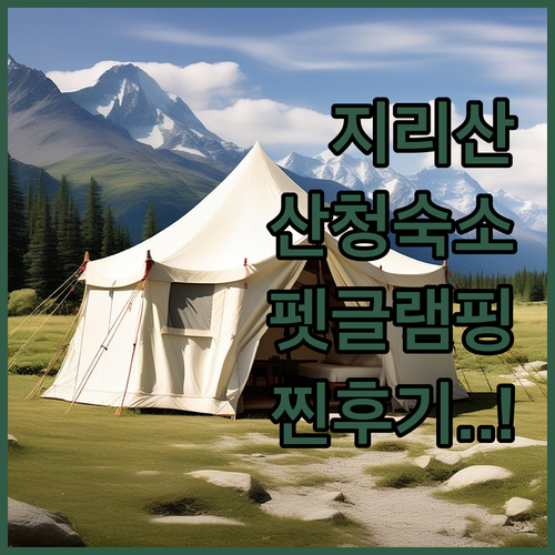 지리산 산청 호텔부터 펫글램핑까지 실..