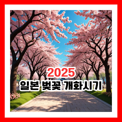 벚꽃 개화