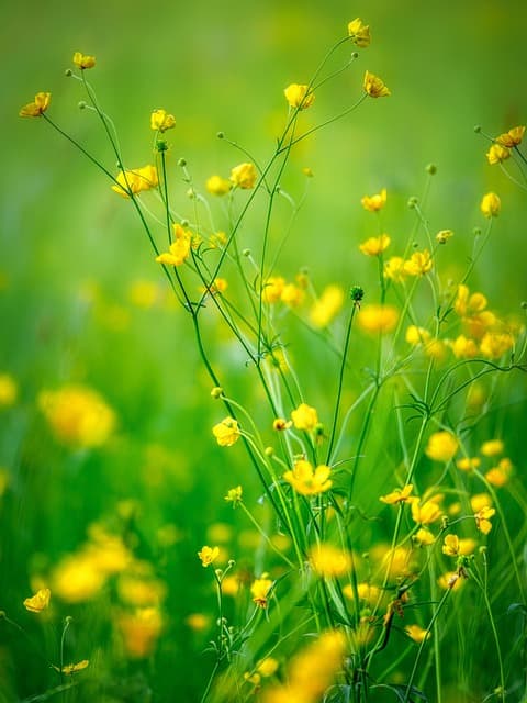 봄철 나른함 잡는 채소 조리법과 메뉴