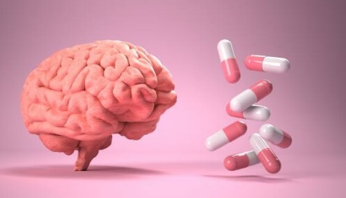 사람의 뇌와 영양제