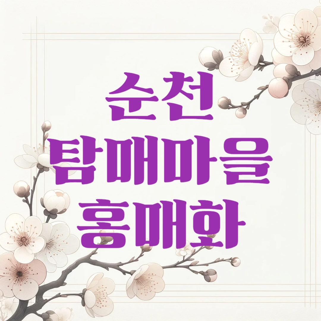 순천 탐매마을 홍매화 꽃구경