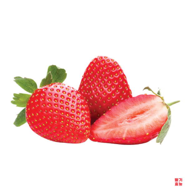 딸기의 놀라운 효능 : 딸기 효능 알고 드세요!