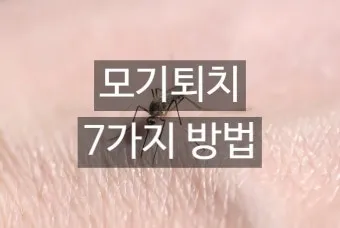 모기 퇴치 모기장 설치와 전자 모기향 환기 수칙_15
