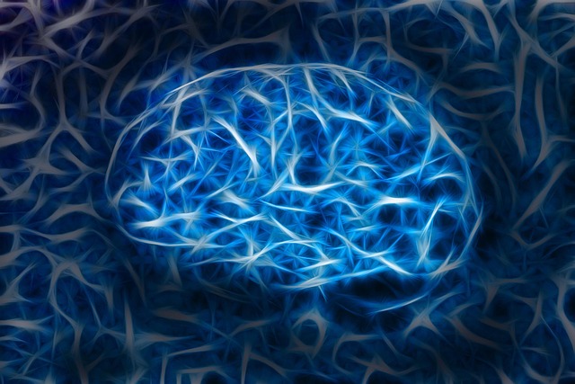 교육심리학 : 교실 관리 기술