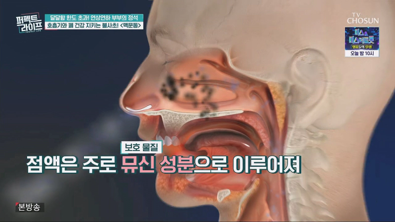 호흡기 및 폐건강에 좋은 백문동