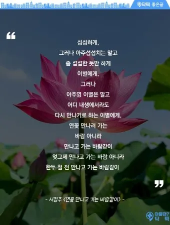 삶의 희망 관련 명언 100선_5
