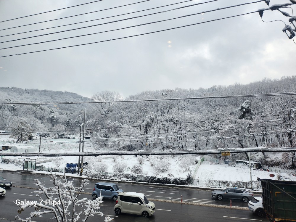 하얗게 눈으로 덮인 산과 도로 풍경