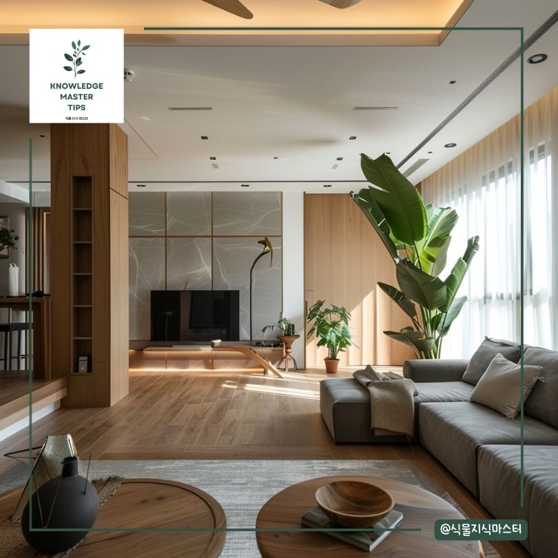 거실대형식물, 극락조