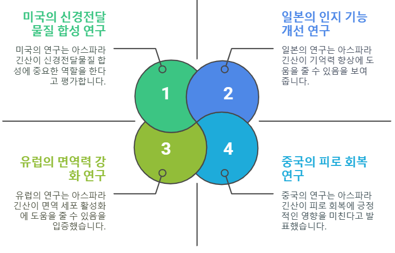 아스파라긴산 연구