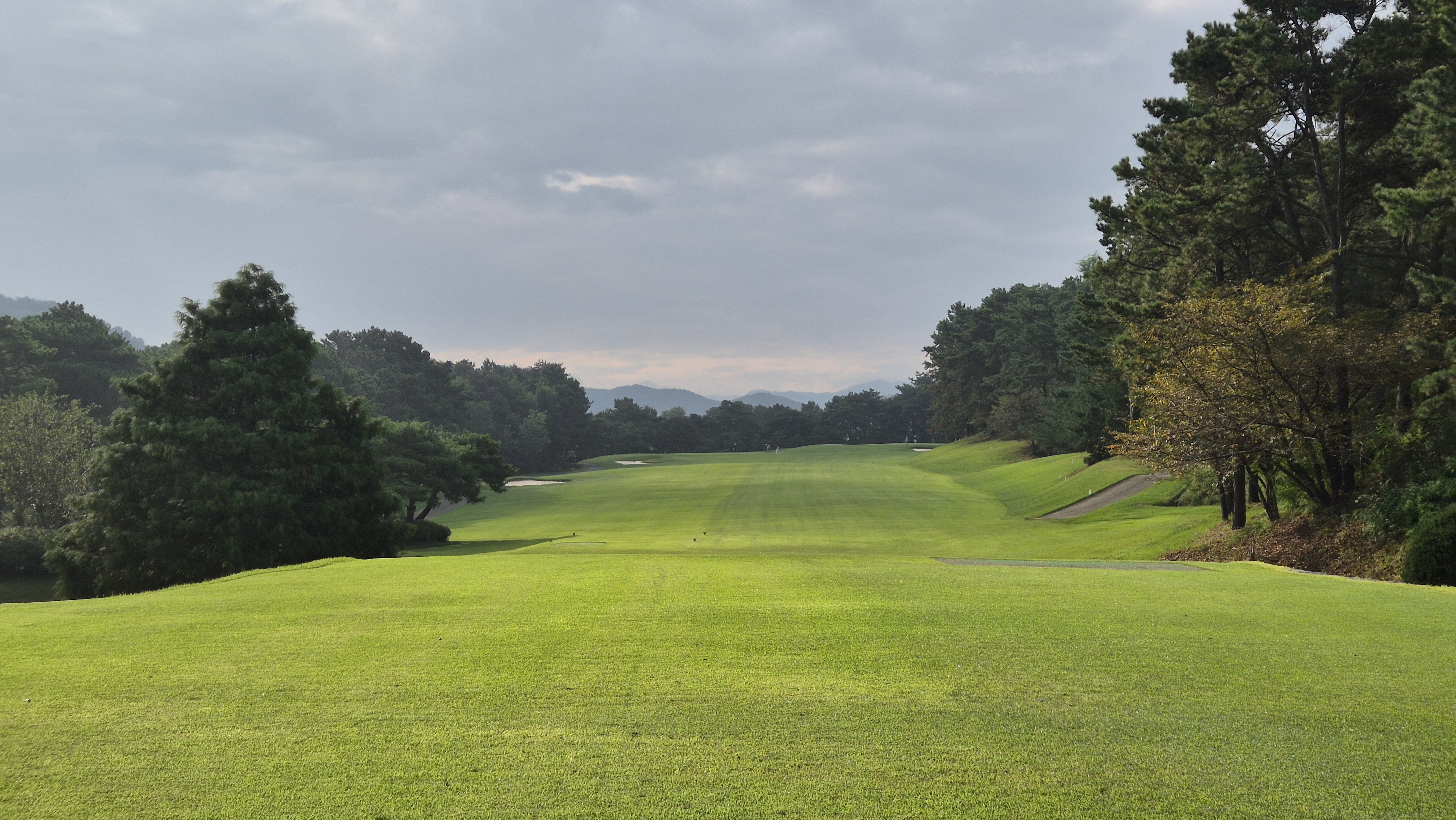 도고cc 코스 사진 및 공략 정보