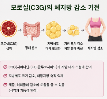 모로오렌지-효능-섭취방법-다이어트-효과-부작용