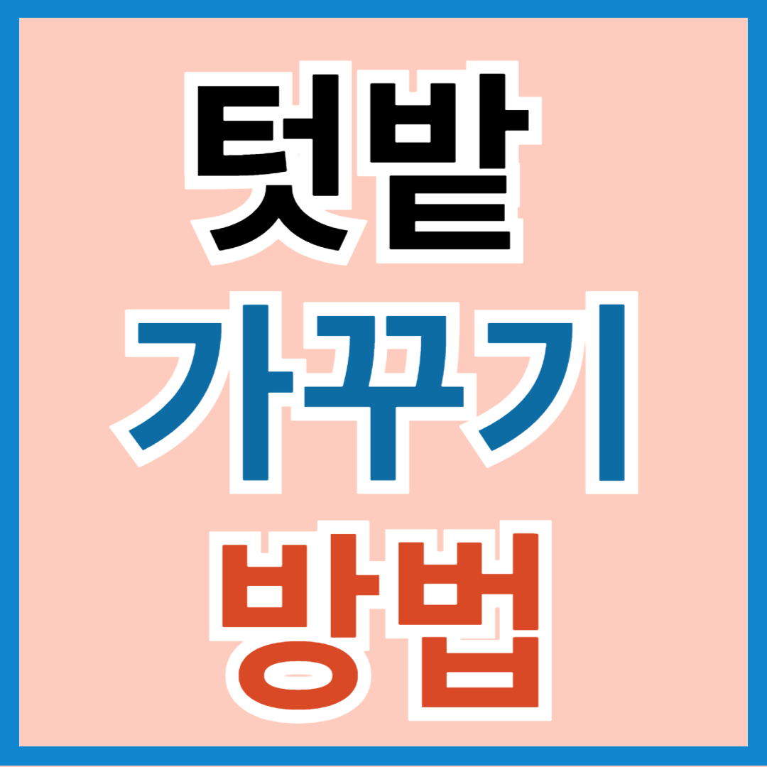 텃밭 가꾸기 월별 작업 내용 알아 보기